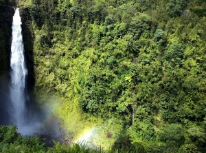 Akaka Falls  Rainbow