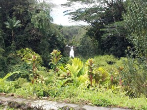 Akaka Falls
