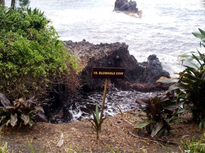 Blowhole 1