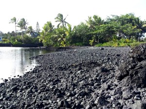 Kapoho - Champaign Ponds 008