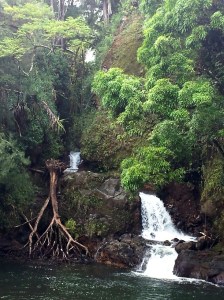 Kolekole Beach Park Falls
