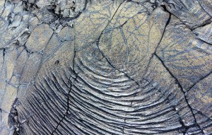 Turtle Shell Lava