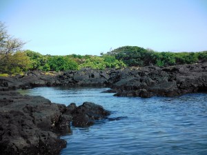 Whittington Beach Park 2