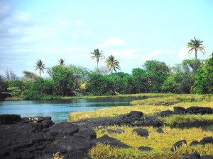 Whittington Beach Park