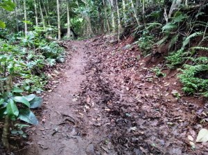 Muddy Trail 2