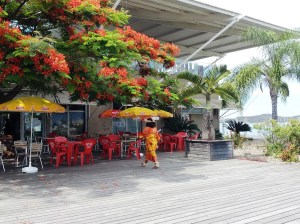 A little cafe in town.