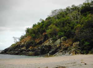 Poleros Island is just off the Australian Coast.  We took a short hike through a rainforest and snorkled from the beach.