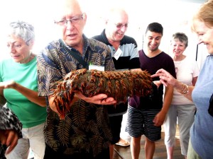 Jim holding a Pineapple Sea Cucumber. It was very heavy and we were told that this is just medium sized.
