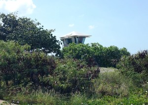 Lifeguard Hut