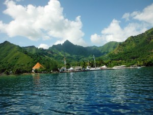 Moorea Harbor
