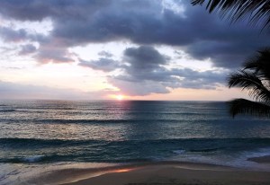Sunset & Palm Trees 3