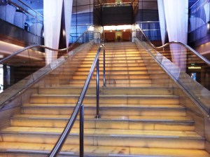 The Grand Stairway - it goes from the lobby up to the diningroom and bar area and it's lighted from within - pretty cool.