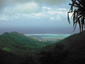 The light aqua water is the coral reef that surrounds the island.