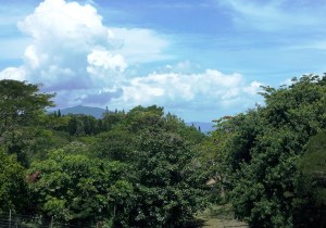 The park was hilly and beautiful.