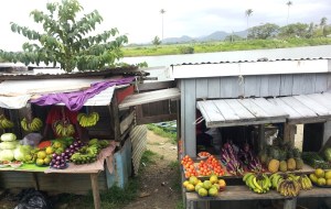 There were small fruit and vegetable markets along the way.