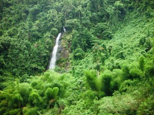 There were waterfalls everywhere along the way.