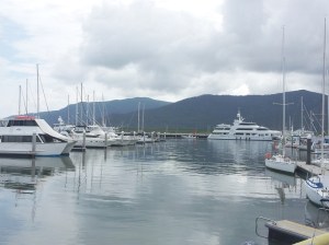 This harbor goes on for half a mile - lots of money in those waters.