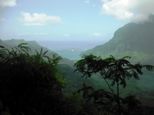 This is a view of the harbor from the mountain we hiked. That's our ship.