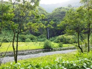 This is the end of the dry season for the islands. Our guide explained that within a few weeks this area will be flooded and there will be waterfalls everywhere.