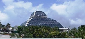 This is the top of a huge casino. This part is an amusement park with a rainforest motif - zip lining, wildlife.