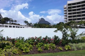 Views from the park.