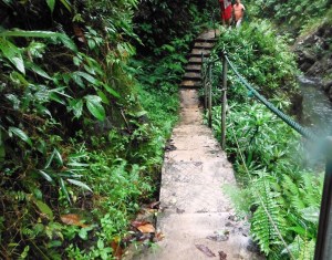 We followed a narrow footpath to the falls.