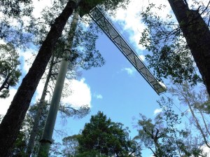 1 This is the cantelever from below. This arm sticks out over the  river without any ground support at the end. It swayed in the wind - a little unnerving when we were standing up there.