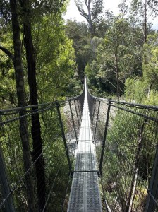2 Really long swinging bridges.