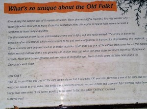 3 Signs along the way gave information about the trees, bushes and surroundings