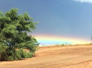 9 The colors were magnificent!