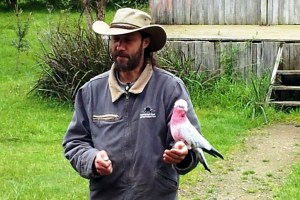 A Major Mitchell Cockatoo named Naughty. They said when he was given to the preserve, his language was not the best - funny.