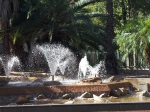 A small park in front of the Aboriginal Center in Alice Springs.