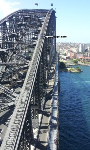 A view of the top of the bridge from the lookout tower. There is a group of climbers near the top.