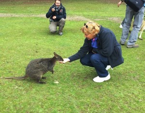 Charli feeding the pademelon.