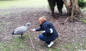 Charli with an Australian grey goose. Look closely, his bill is green.