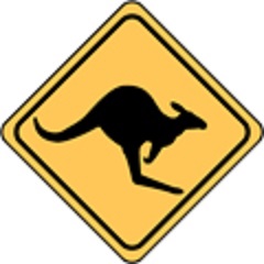 Kangaroo Crossing of course