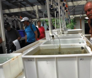 One of the research areas.