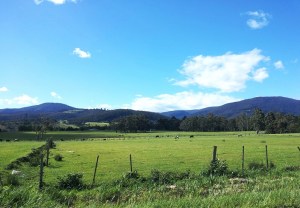 Pretty, peaceful, pastoral settings.
