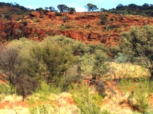 Rugged, wild and beautiful