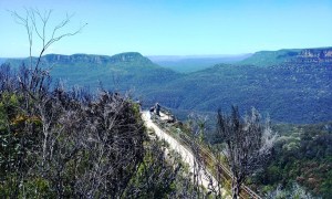 The Blue Mountains - another of the earths magnificent and majestic creations