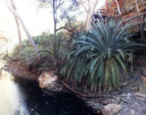 The Garden of Eden - a lovely respite from the heat and sun.