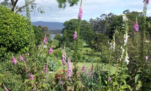 The grounds are serene and  beautiful.