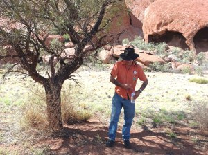 The trunk of this acacia is fire retardant. It can survive a forest fire.