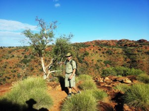 The white ghost gum, a species of eucalyptus, has a white powder covering it's branches that acts as a sunscreen, with an SPF of 15, to help shield it from the brutal sun.