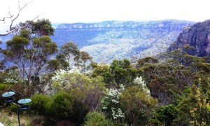 This was our view as we sat and ate lunch.