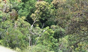 We hiked down into Jamison Valley