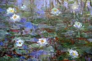 I love the water lilies as much as Monet.