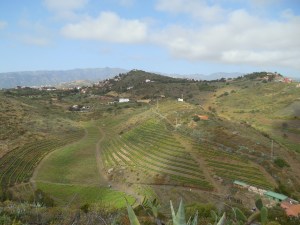 The terraced fields and orchards could be seen all around.