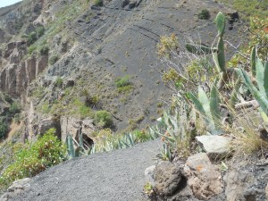 The trail was pretty narrow and steep in some places.