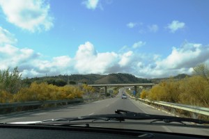 Tom and I headed for the mountains along pretty flower lined highways.
